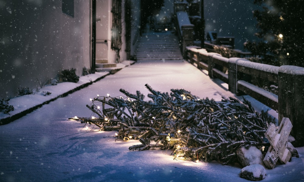 Добровольцы «ЛизаАлерт» будут патрулировать Омск в поисках дезориентированных из-за мороза людей