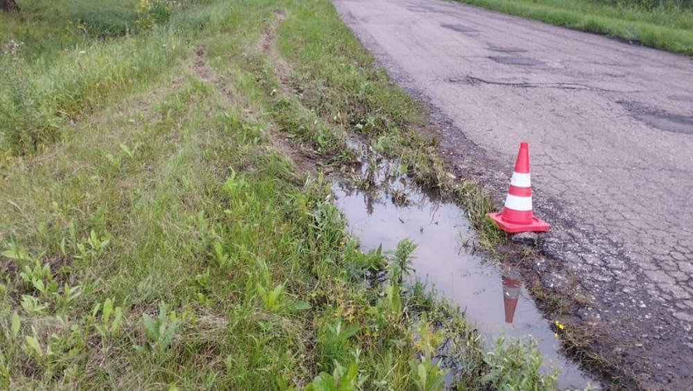 Две женщины и ребёнок пострадали в ДТП в Горьковском районе