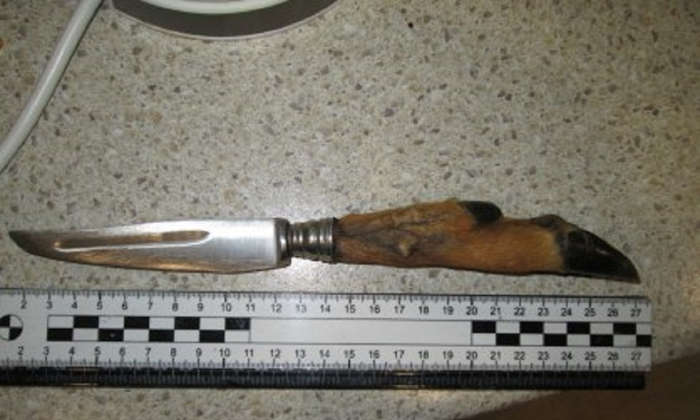 Омского фермера, который убил работника, приговорили к 8 годам тюрьмы