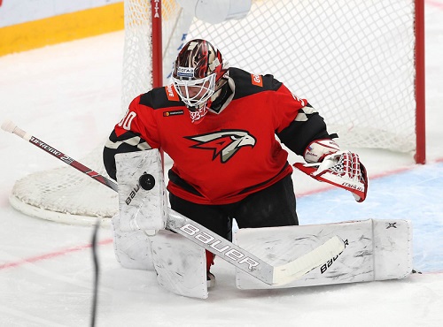 Омские "ястребы" Игорь Бобков и Денис Зернов сыграют на Шведских играх