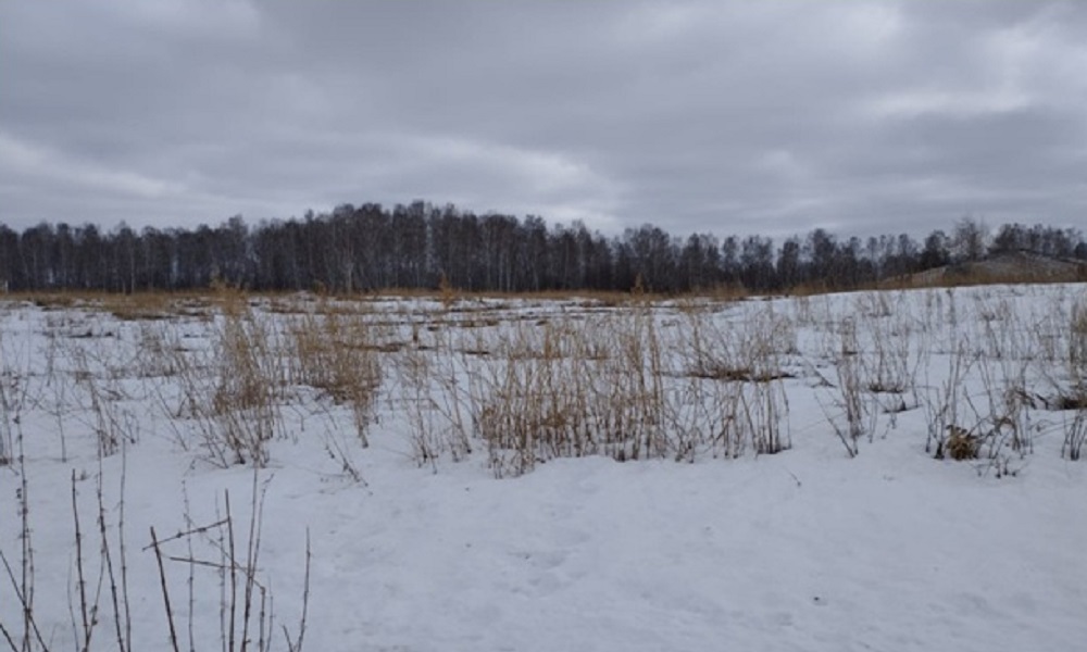 Россельхознадзор сообщил о несанкционированных свалках в районах Омской области