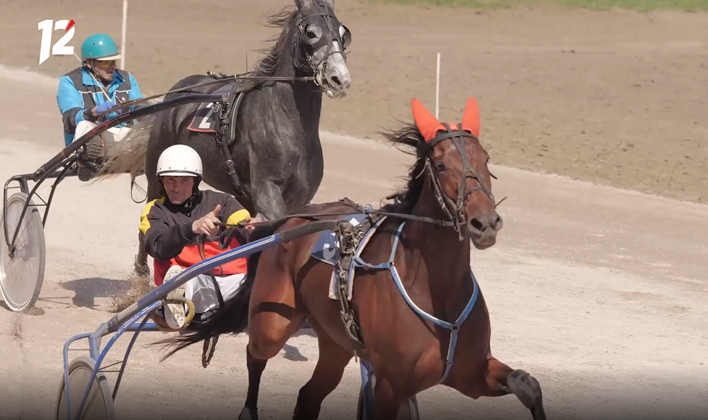 Вальс под скрипку и лошадиные бега: Омский ипподром приглашает на «аристократичную» субботу 