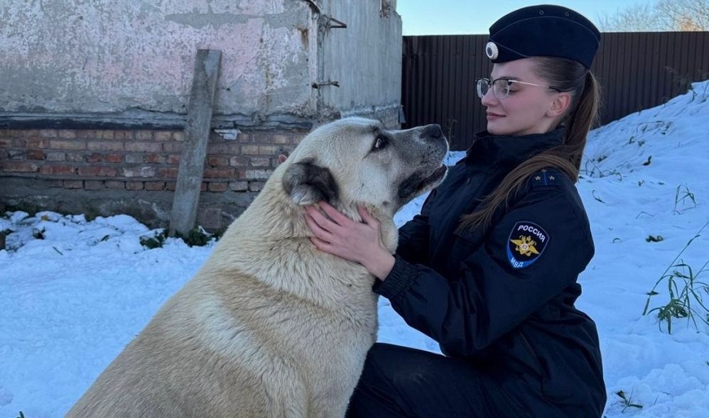 Полицейские вернули жительнице Кормиловского района похищенную со двора собаку