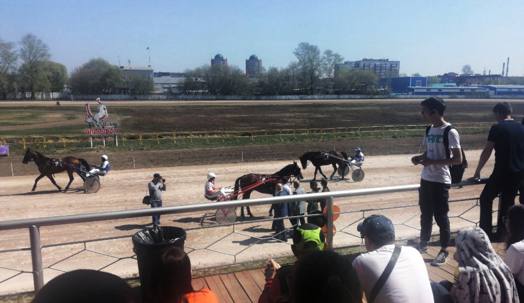 На омском ипподроме провели праздничные бега