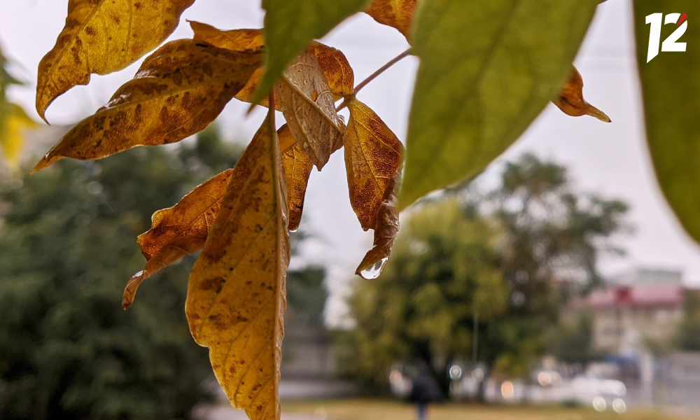 В выходные в Омской области будет небольшой дождь и туман