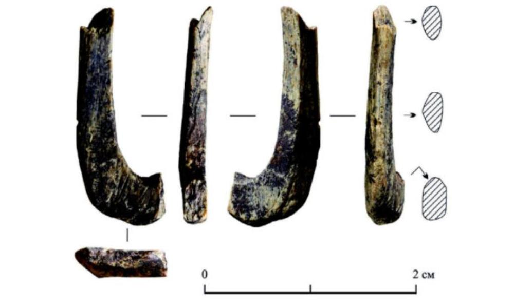 В Омской области был обнаружен артефакт, которому около 13 тысяч лет 