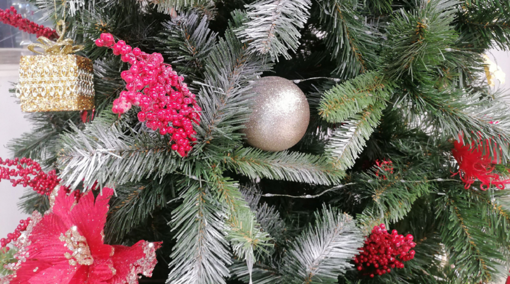 Сергей Шелест анонсировал проведение новогодней благотворительной акции в Омске 