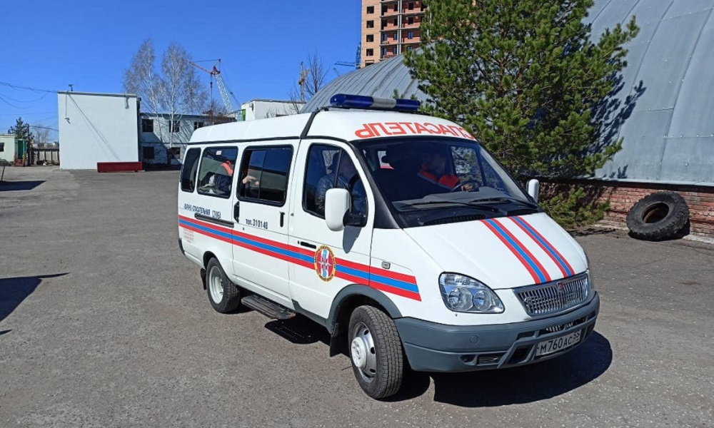 В Омской области девочка залезла на дерево и не смогла спуститься