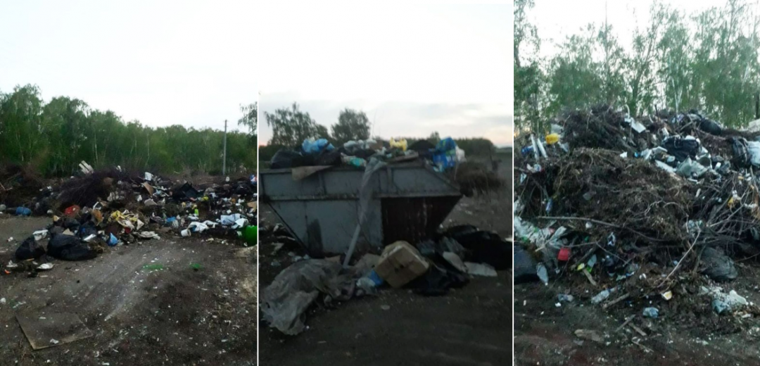 Регоператор «Магнит» прокомментировал жалобу Полежаева на свалку рядом с Усть-Заостровкой 