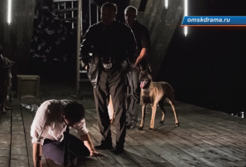 На сцену Омской драмы выйдут собаки 