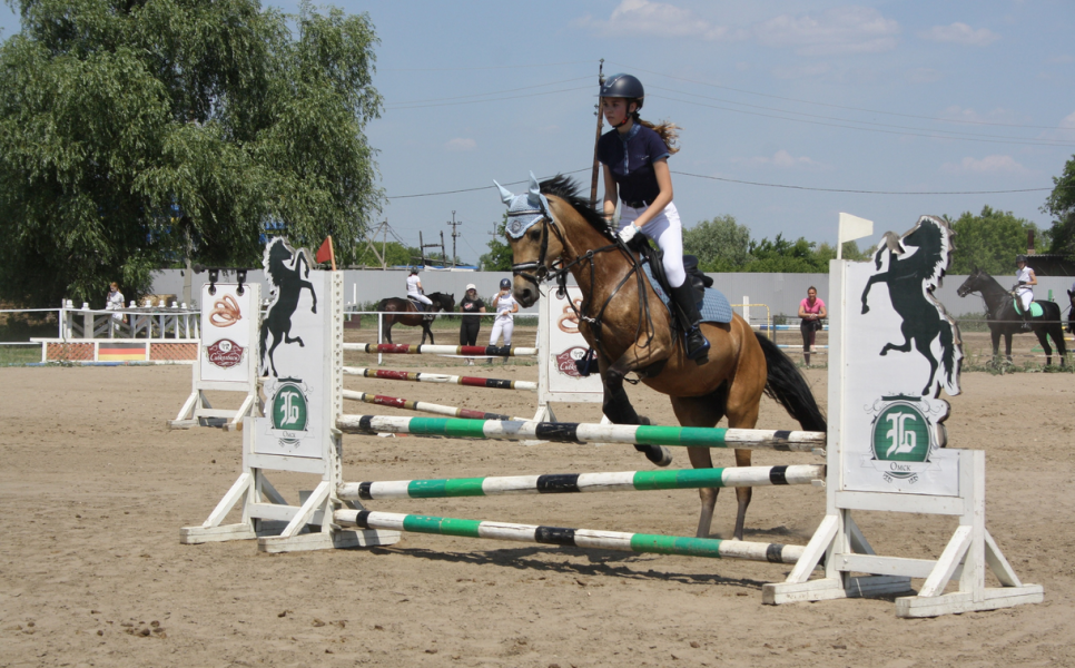 Чемпионкой Омской области по конкуру стала Виктория Качан