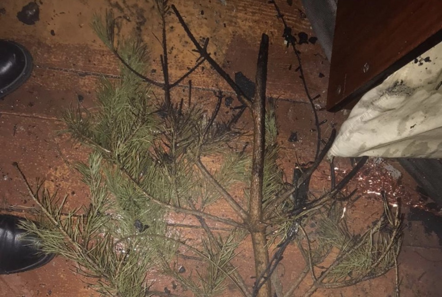 Омские пожарные спасли дом многодетной семьи, в котором вспыхнула ёлка