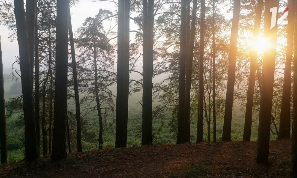 В Омской области введён особый противопожарный режим