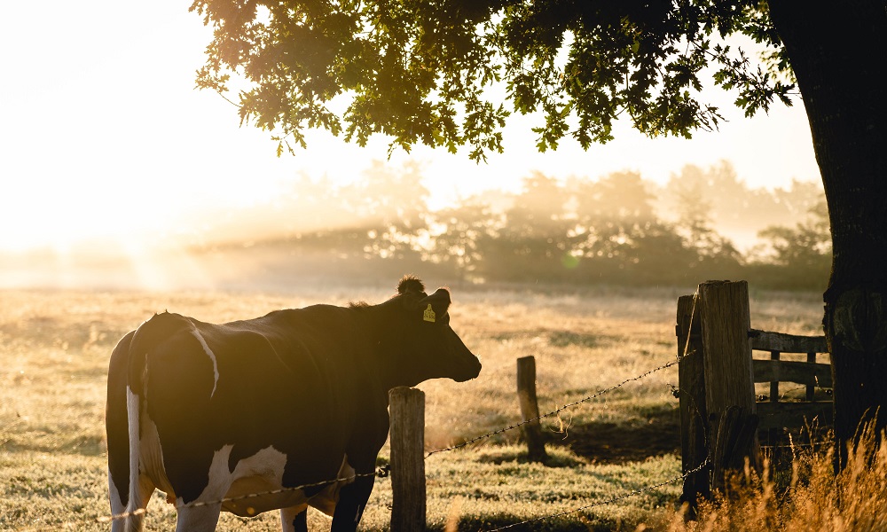 В омской колонии ввели карантин из-за опасной инфекции 