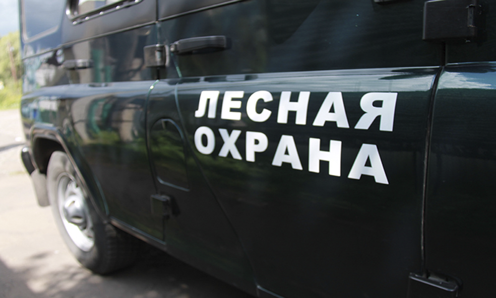 С апреля омичам запретят ездить в леса