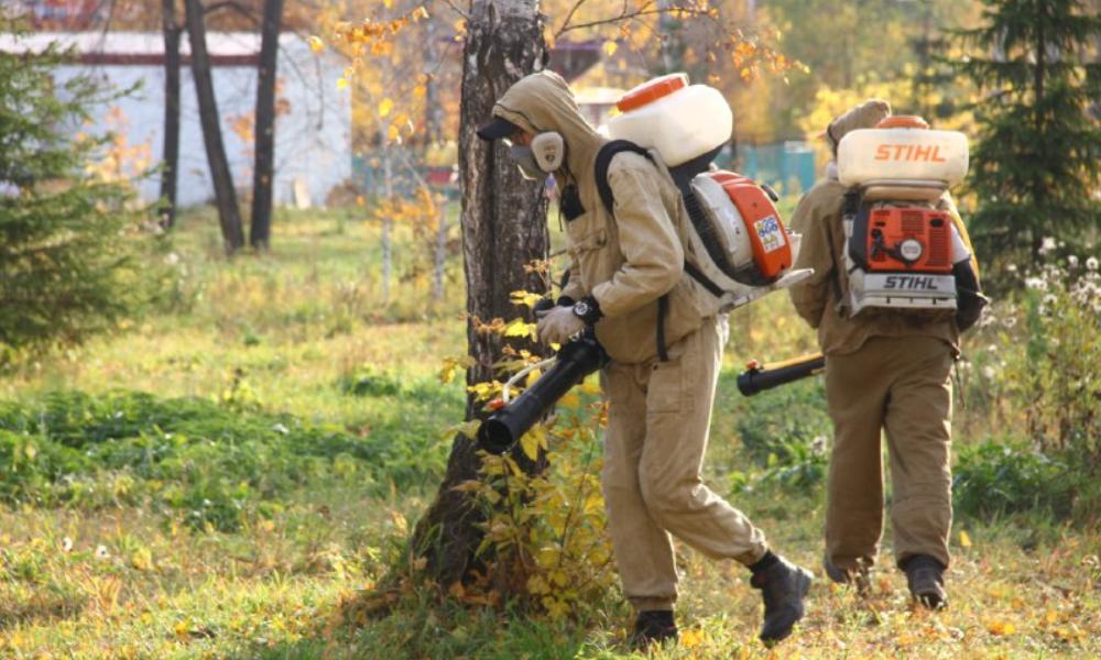 Омские кладбища обработают от клещей