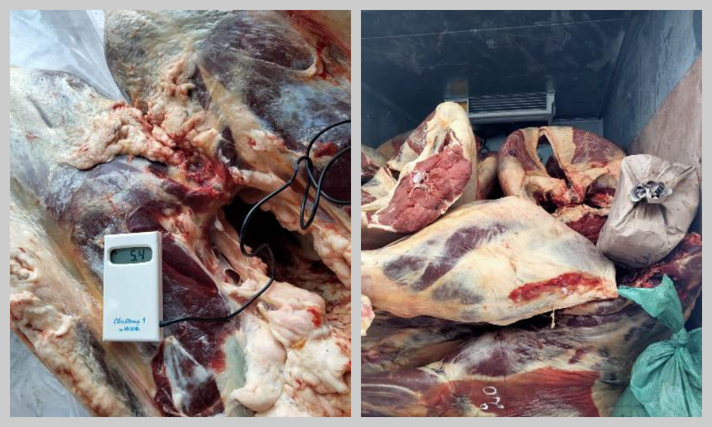 Россельхознадзор задержал на пути в Казахстан почти 6 тонн мяса 