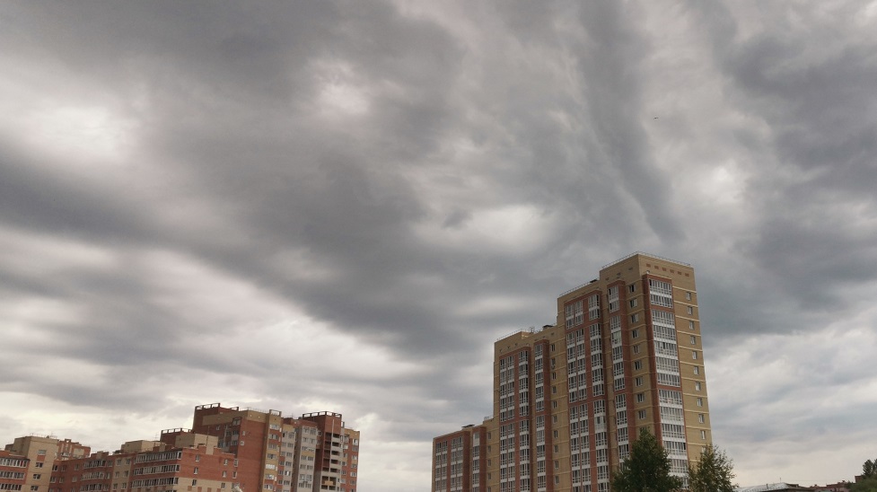 Омичей предупредили о сильном порывистом ветре и похолодании