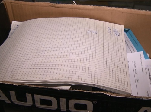 Омичи смогут сохранить леса