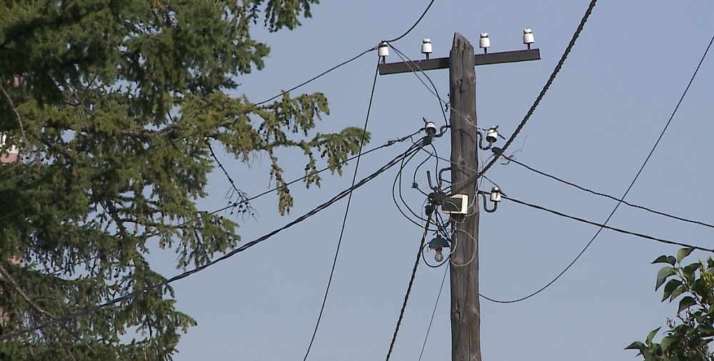 В омском СНТ отключили электричество до уплаты долга в 2,5 млн рублей