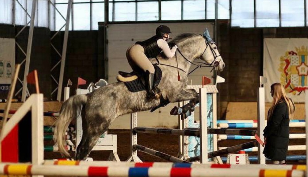 В посёлке Омском состоялись чемпионат и первенство региона по конному спорту в дисциплине «конкур»