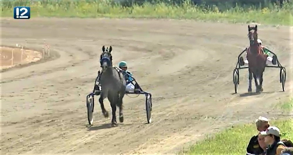 На Омском ипподроме состоится открытие летнего бегового сезона с участием лучших рысаков региона