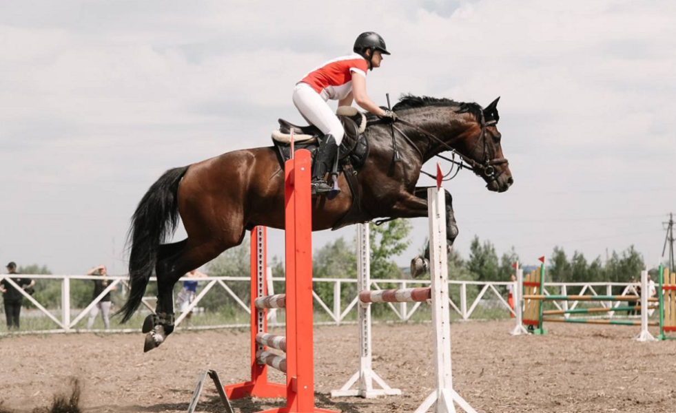 В Омской области впервые с начала 2025 года пройдёт турнир по конкуру на открытом грунте