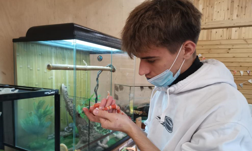 «Мне сказали: нужно съездить за крокодилом»: ветеринар из Кемерово рассказал, как он ловил рептилию в Омске