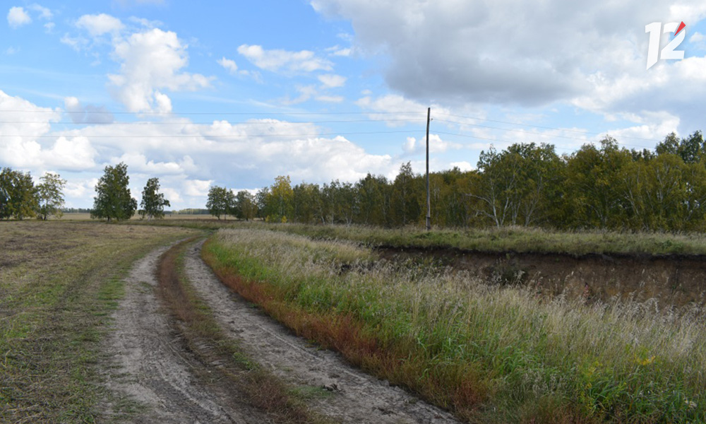 В Омской области подвели итоги 5-го года реализации проекта «Сохранение лесов»