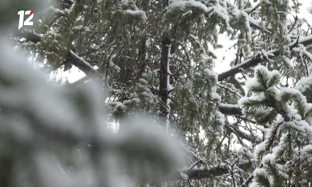 В Омской области из-за снега с дождём объявлено штормовое предупреждение 