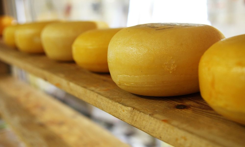 В Омске сняли с реализации 700 кг неизвестного продукта, который собирались продать под видом сыра