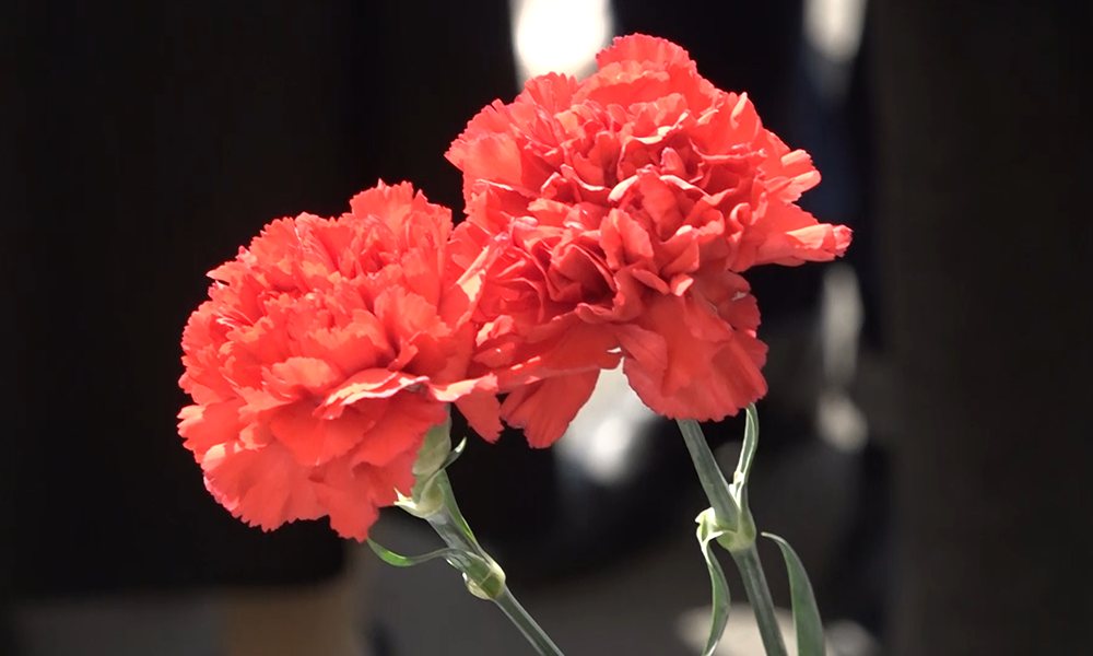 В Омске 22 июня пройдёт акция «Минута молчания»