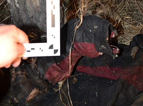 Суд вынес приговор омичу, совершившему убийство с особой жестокостью