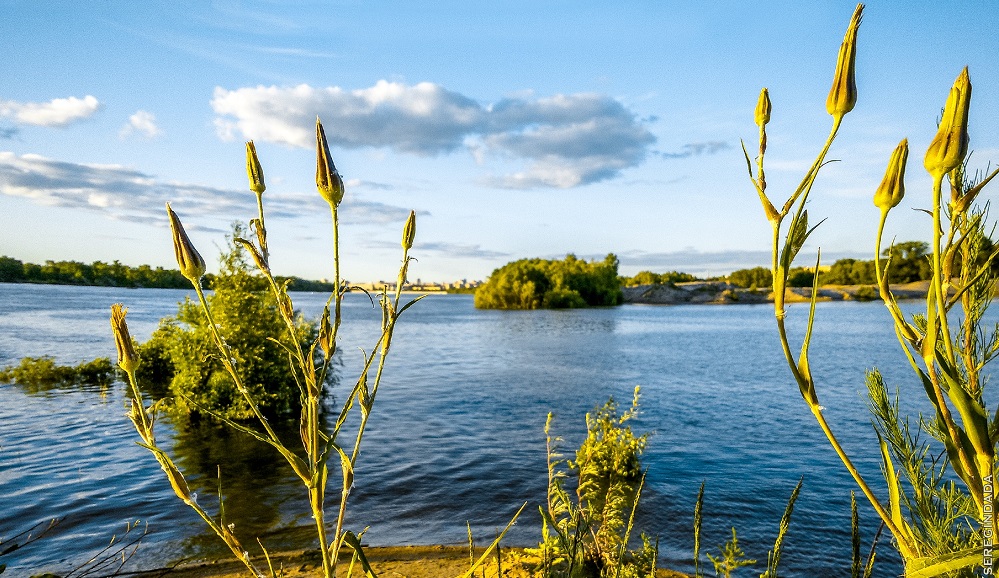 Омичей ждут жаркие выходные 