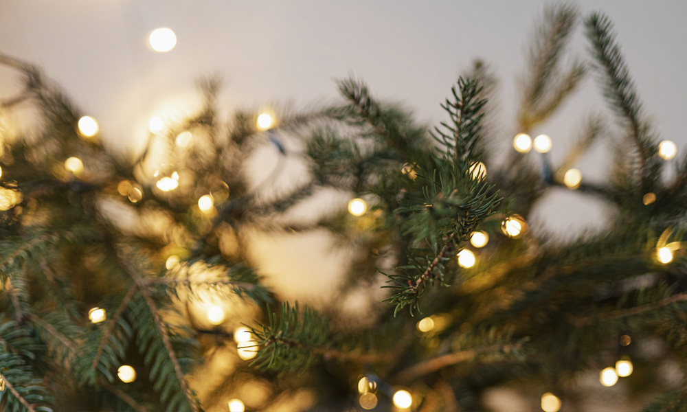 Омичам сообщили, как безопасно украсить дом к Новому году