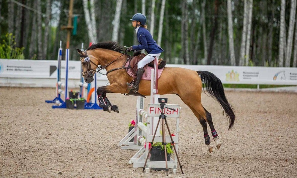 Омские спортсмены завоевали 42 медали на всероссийских соревнованиях по конкуру 