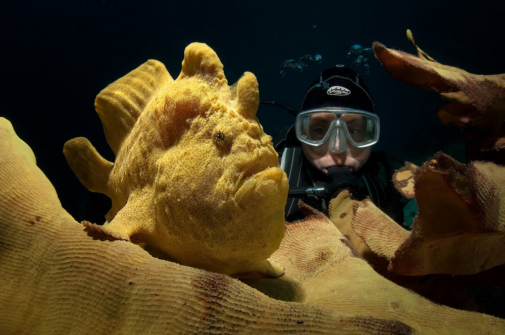 Омичей приглашают на эксклюзивную экскурсию по выставке фотографий подводного мира