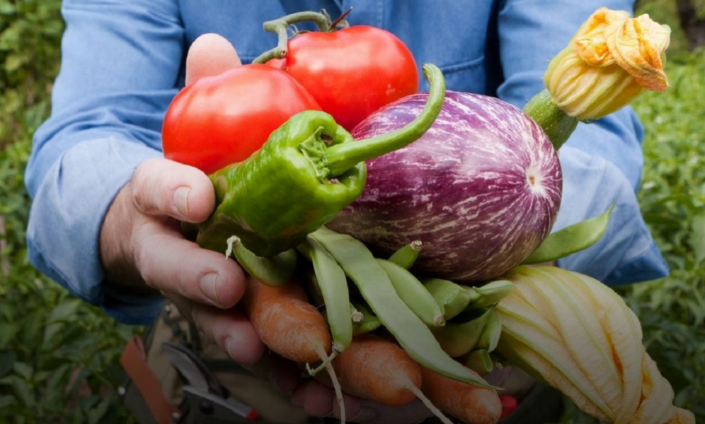 Омские фермеры могут бесплатно получить места на ярмарке в Ленинском округе