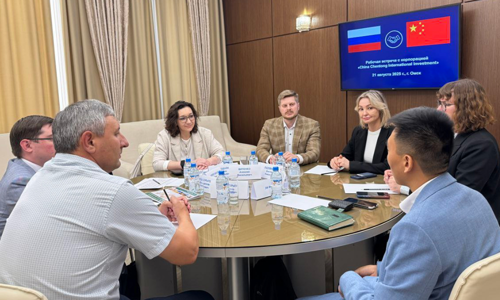 Анна Негодуйко обсудила инвестиционные проекты с китайской корпорацией