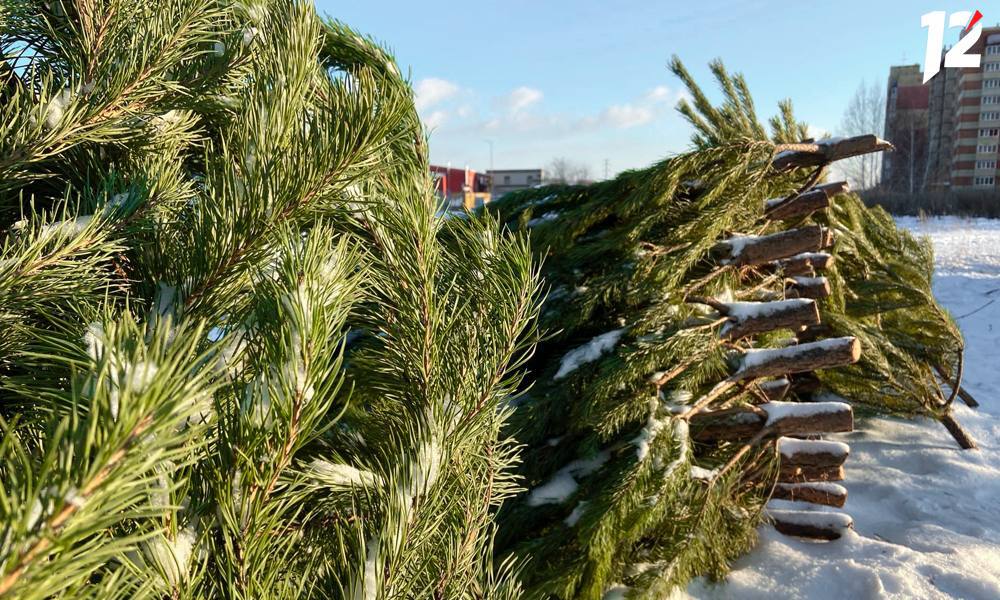 В Ленинском округе Омска будут работать 22 ёлочных базара 