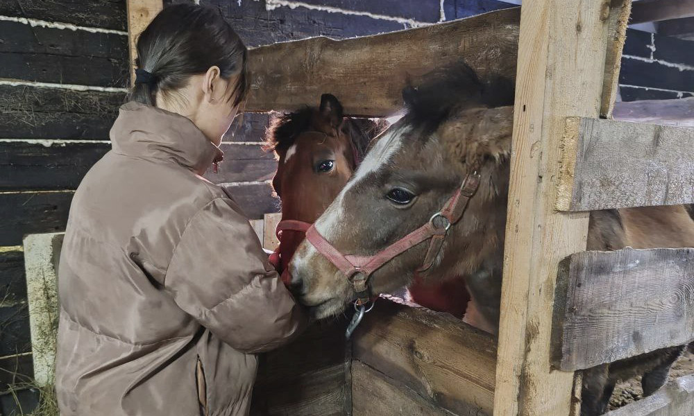 Жители Омской области в 2025 году заключили более 3400 социальных контрактов