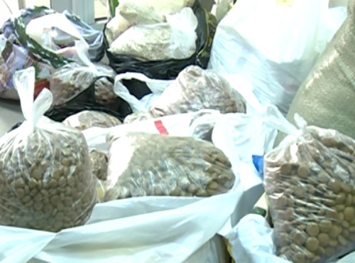 В Омске продлили акцию по сбору корма для бездомных собак