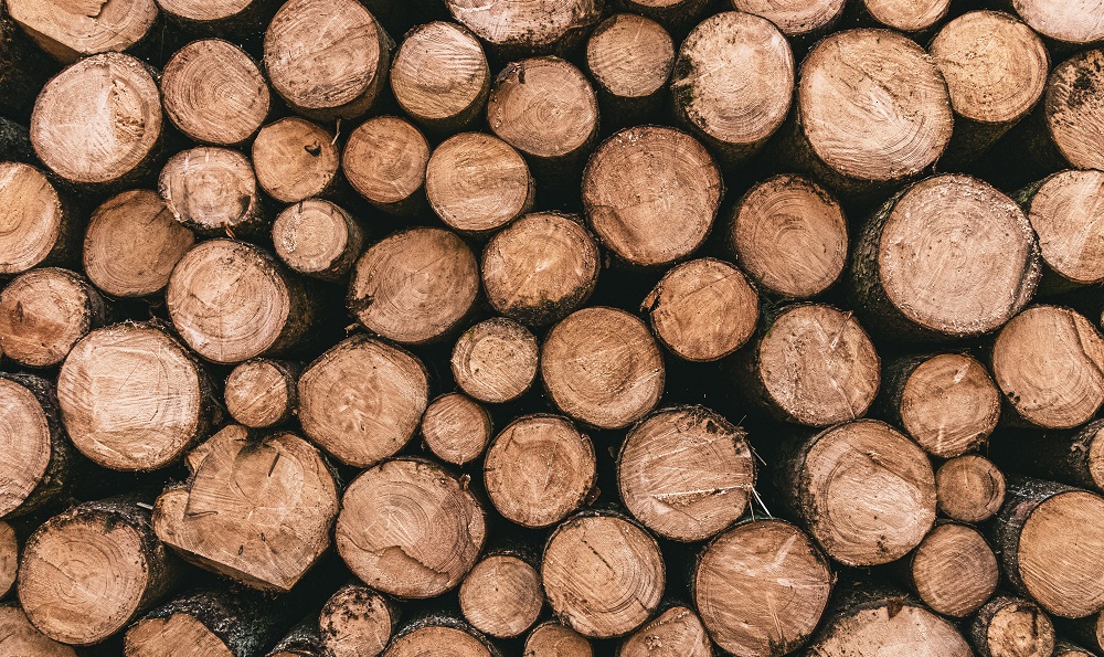 Омич пытался незаконно перевезти через границу пиломатериалы на 240 тысяч рублей 