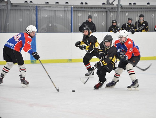 Среди "Омских орлят" выберут сильнейших