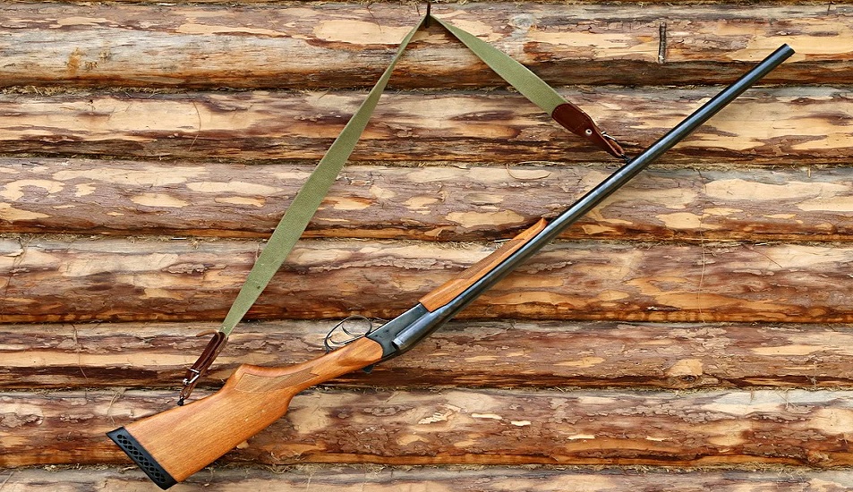 Оформить лицензию на охоту в этом году омичи смогут дистанционно