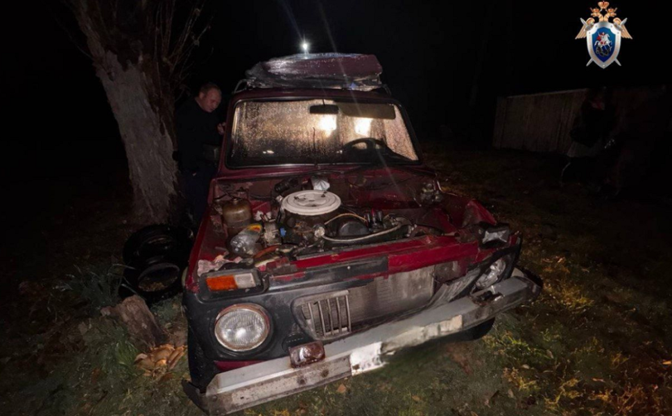 В Омской области рыбак случайно стал причиной смерти своего товарища