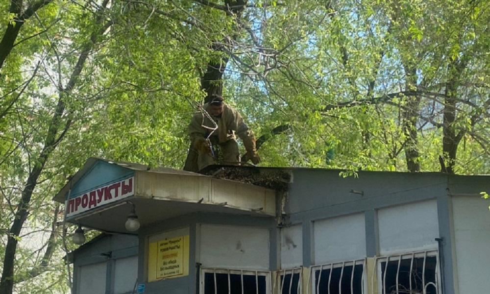 В Омске могут увеличить штрафы за незаконно установленные торговые павильоны