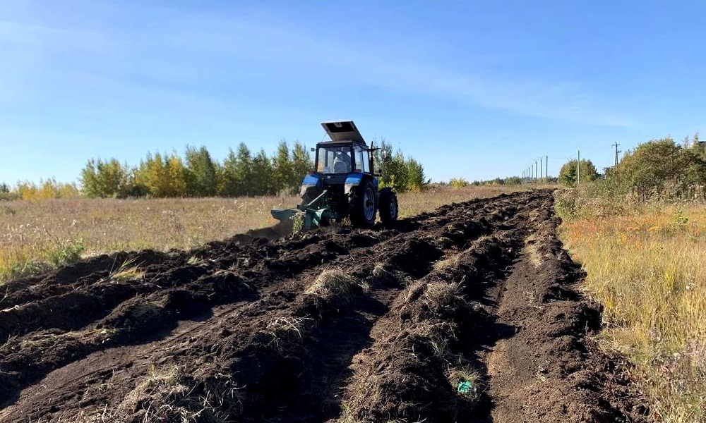 В трёх сельских поселениях Омской области обнаружили нарушения при содержании противопожарных минерализованных полос