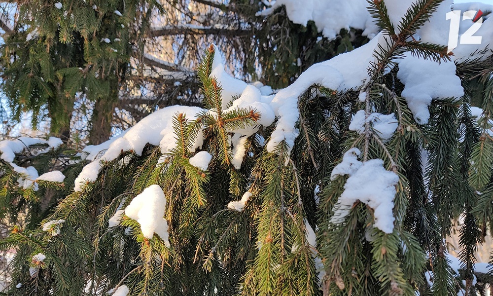 Зима в Омской области оказалась более снежной, чем в прошлом году