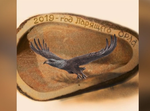 Омский Левша поселил орла на кедровом орехе